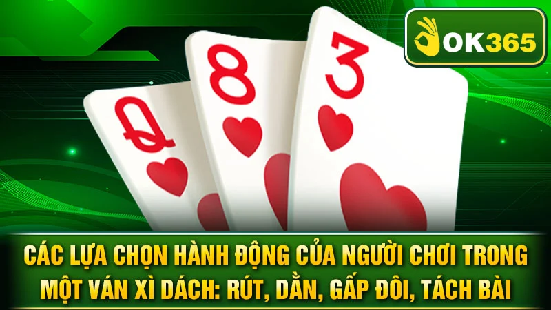 Các lựa chọn hành động của người chơi trong một ván Xì Dách: Rút, Dằn, Gấp Đôi, Tách Bài.